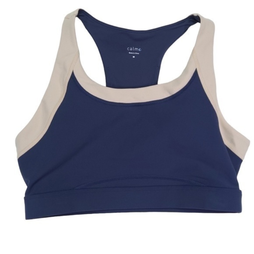 JOHNNY WAS Calme Blue Endurance Color Blocked Sports Bra